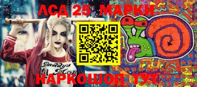 индика Абакан