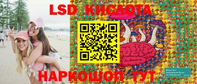 индика Абакан