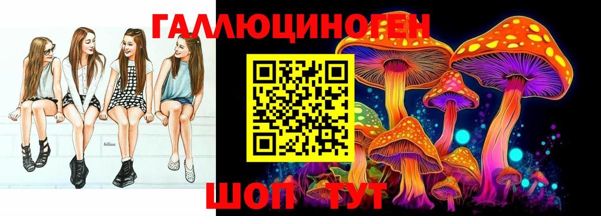 Псилоцибиновые грибы GOLDEN TEACHER Россия